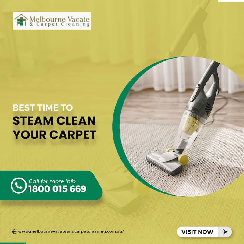 Best Time to Steam Clean Your Carpet