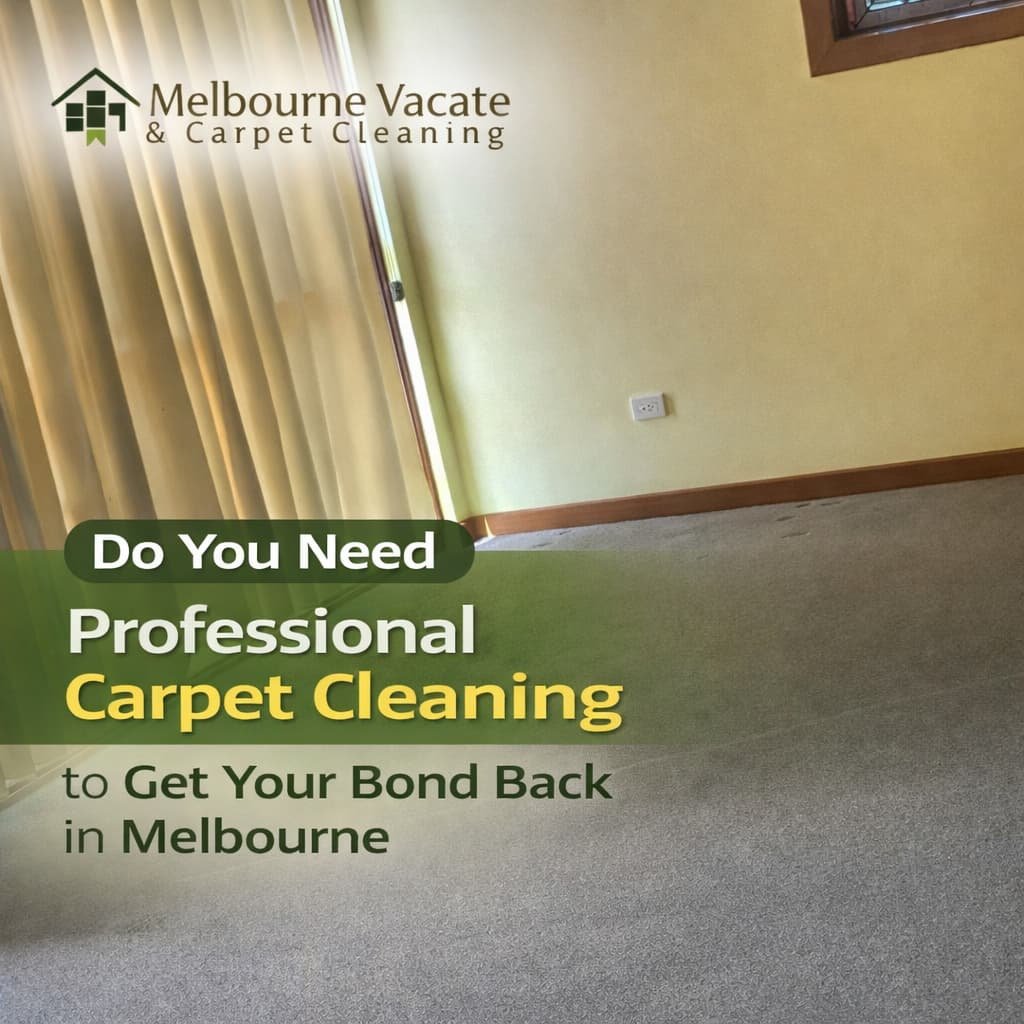 Professional Carpet Cleaning Banner